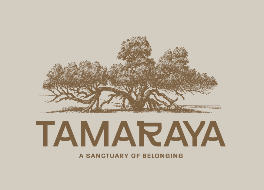 Tamaraya — project identity mark over coastal tones
