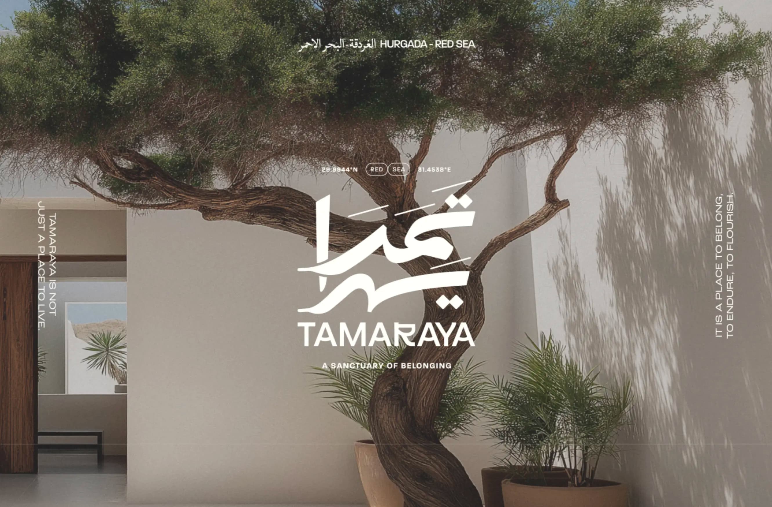 Tamaraya — coastal lifestyle and landscape on the Red Sea